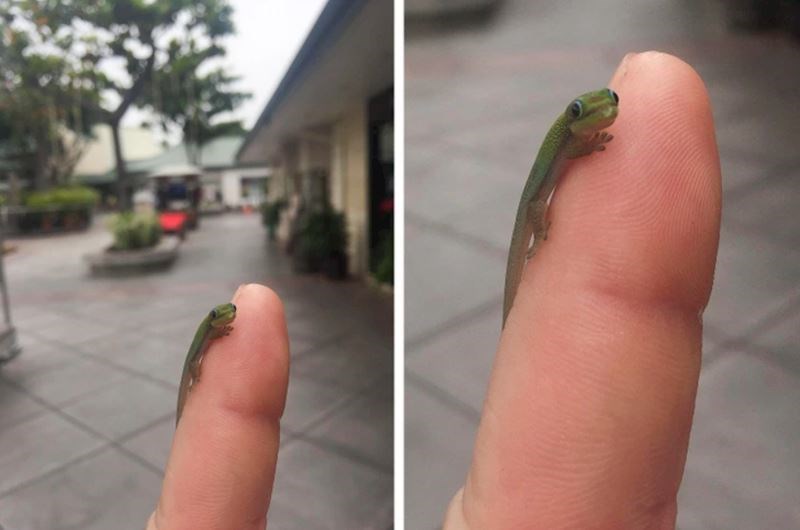 12. Ma pogledajte samo te oči