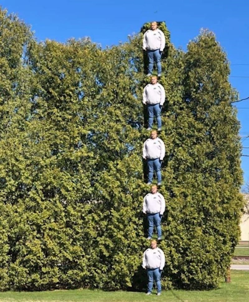 1. "Moj brat je odlučio saznati koliko je visoko drveće u našem dvorištu. Prvo se slikao, a onda u Photoshopu napravio ovo."