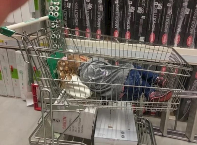 8. "Budite kao moja kćer i kad ne znate što biste radili idite spavati"