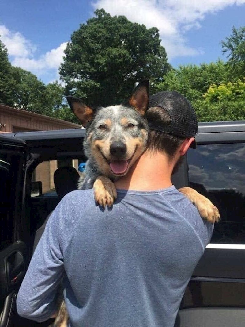 1. "Čini se zadovoljan svojim novim vlasnicima. Zaslužio je nakon što je od kada je bio štenac živio u skloništu"