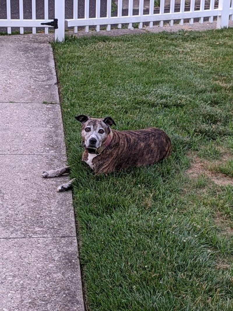 11. Gdje su nestale noge?