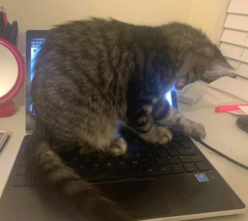 "Dosta posla za danas!"