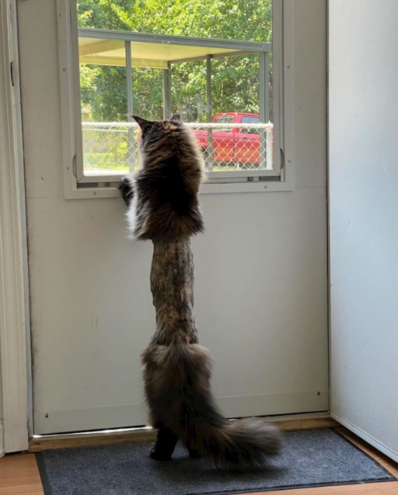 12. Gledamo u ovo i ne vjerujemo