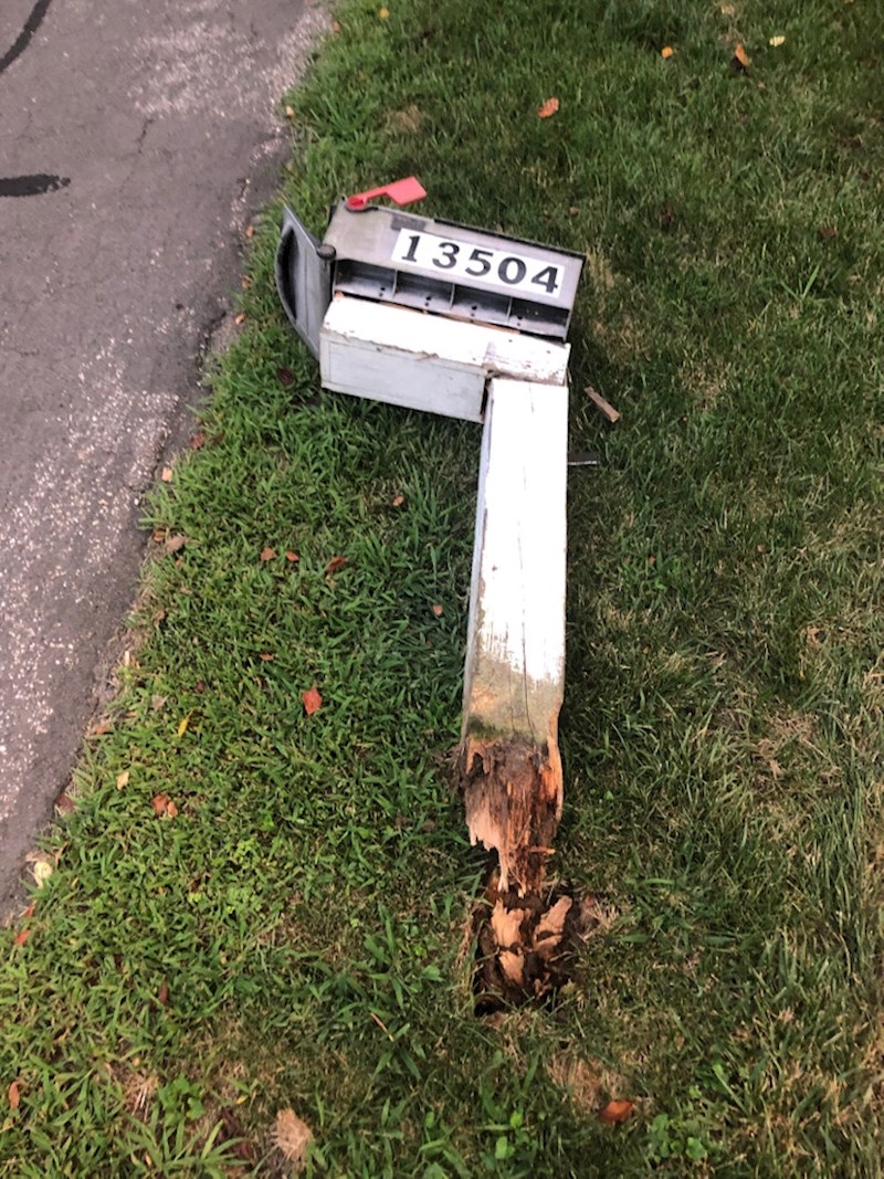 11. "Mislim da me čeka blistava budućnost kao dostavljača"