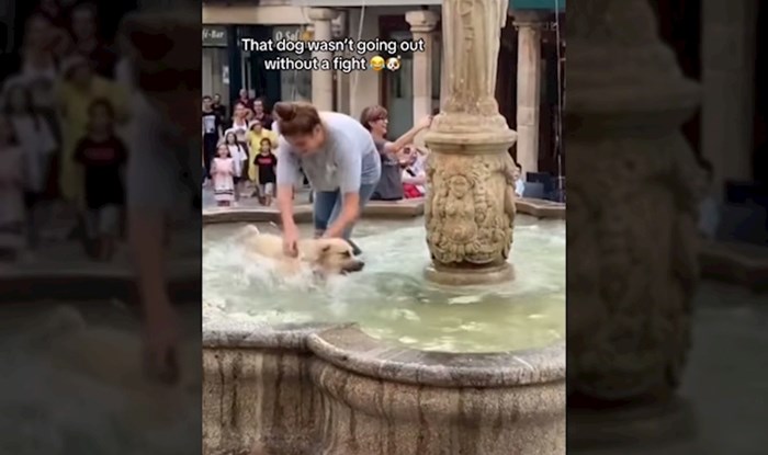 Vragolasti pas zbrisao vlasnicima i skočio u fontanu pa napravio pravi show, video će vas nasmijati