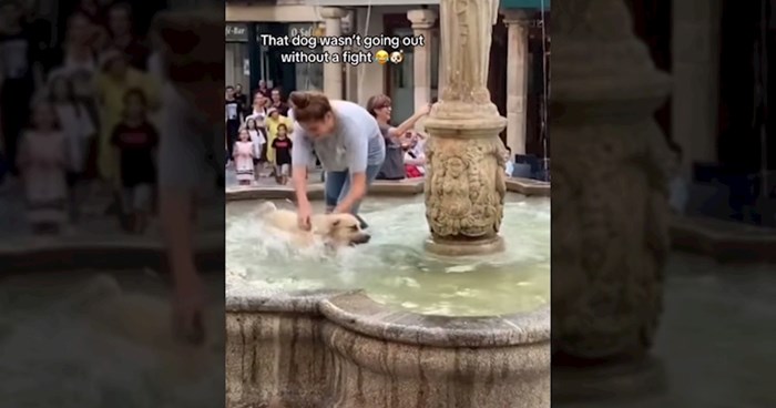 Vragolasti pas zbrisao vlasnicima i skočio u fontanu pa napravio pravi show, video će vas nasmijati