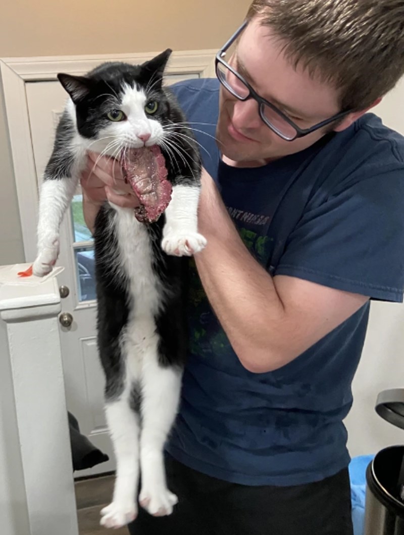 Znamo tko je najveći lopov u kući! I onaj koji ne osjeća žaljenje zbog zločina.