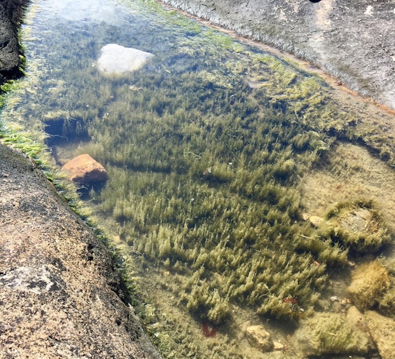 3. "Ne, ovo nije pogled s planine, već zanimljiv plićak"