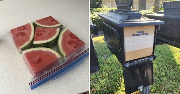 15 slika iz svakodnevnog života na kojima se nešto baš savršeno poklopilo