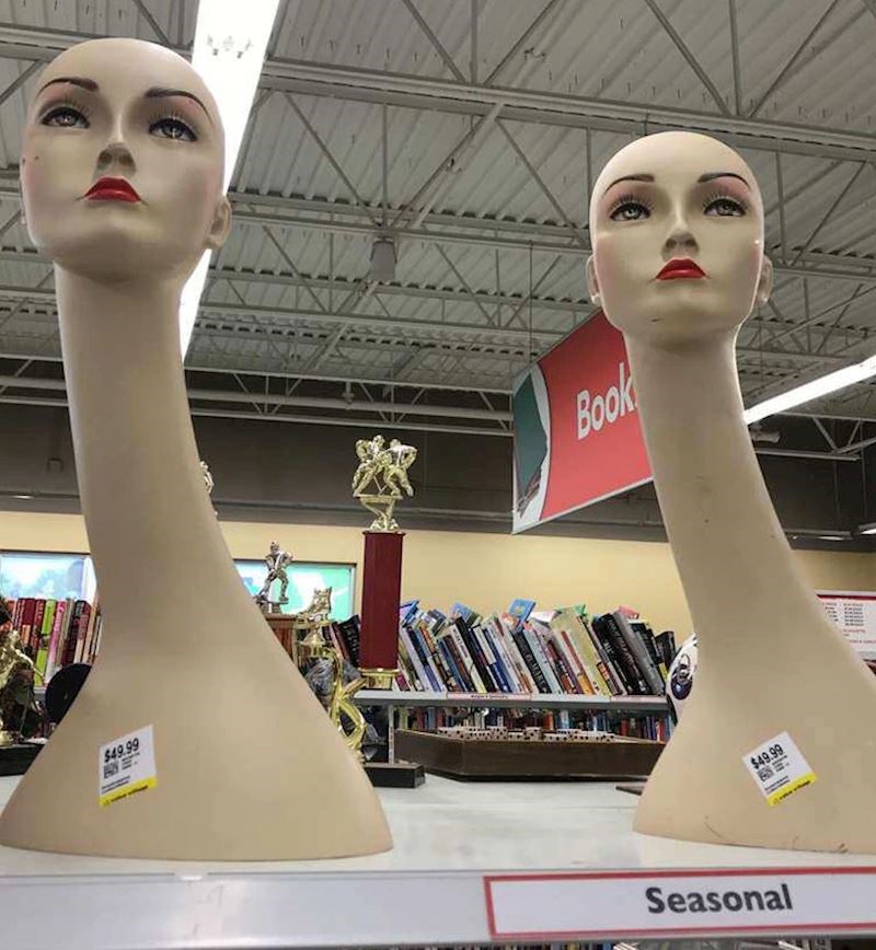 1. Zamislite samo da ih netko stavi u dvorište umjesto vrtnih patuljaka