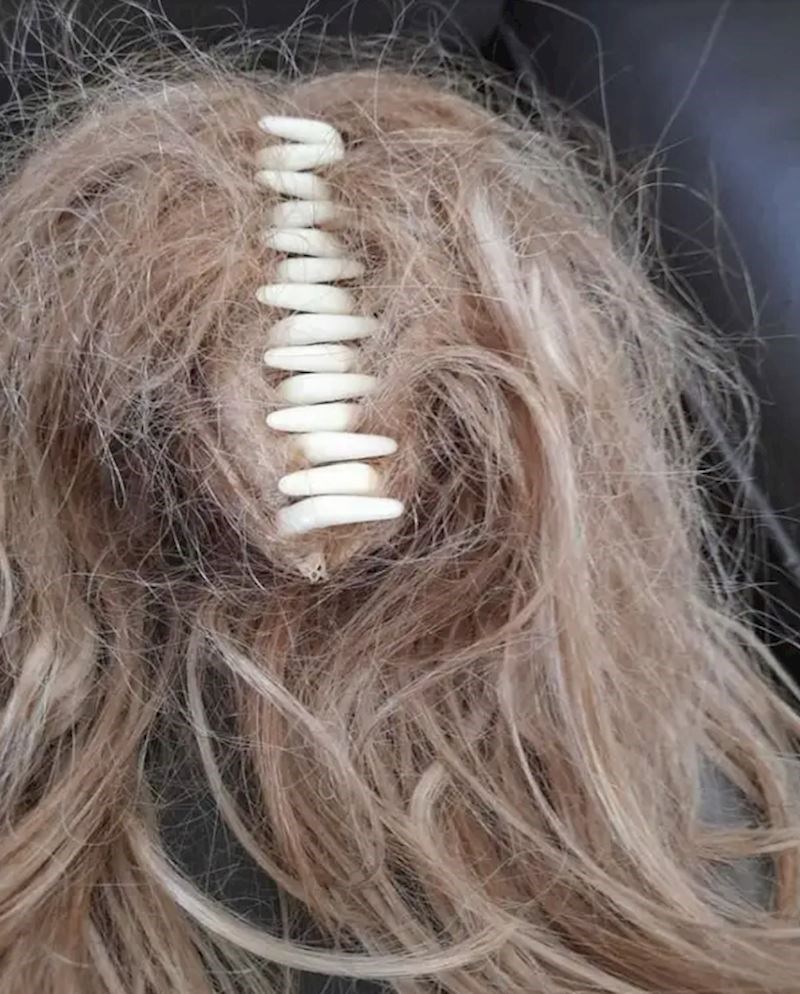 Stavili su oglas za kopču za kosu i dodali ovu sliku...