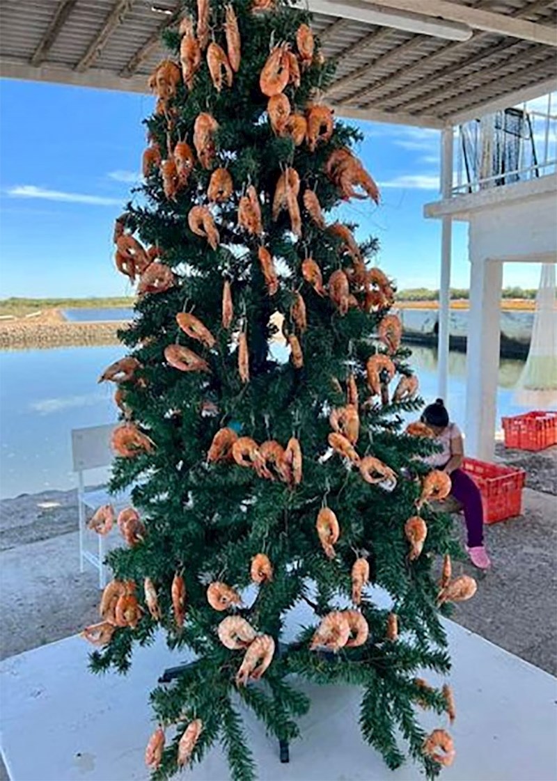 5. Sretan Božić svakome?