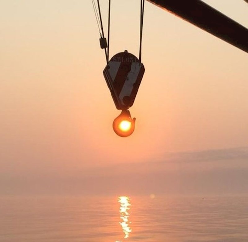 7. "Moj tata je uslikao ovu odličnu fotku"