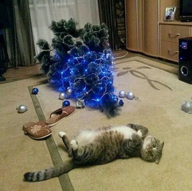 Ma nije on ništa učinio!