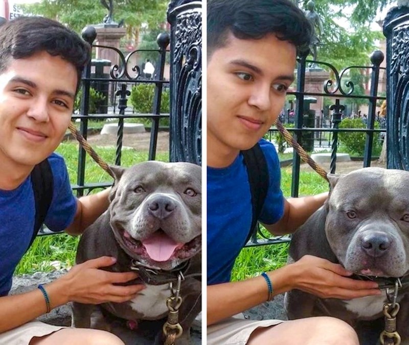 5. "Pas je počeo režati taman prije nego je nastala druga slika"