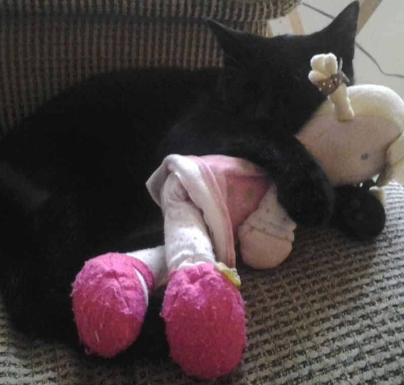 9. Mislimo da je jasno koja joj je omiljena igračka.