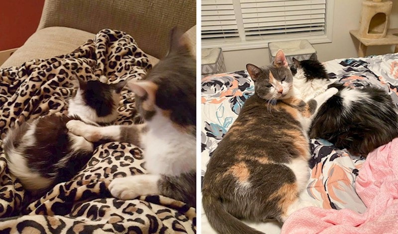 "Pet godina kasnije i dalje su najbolji prijatelji"