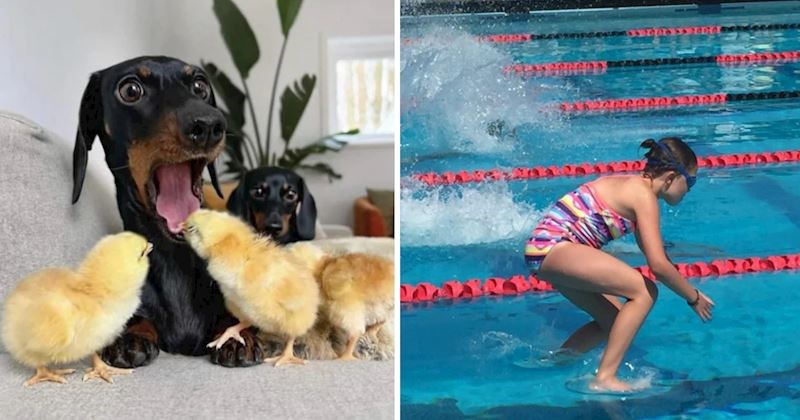 10 puta kada su ljudi okinuli fotku u savršenom trenutku i snimili ove predobre prizore