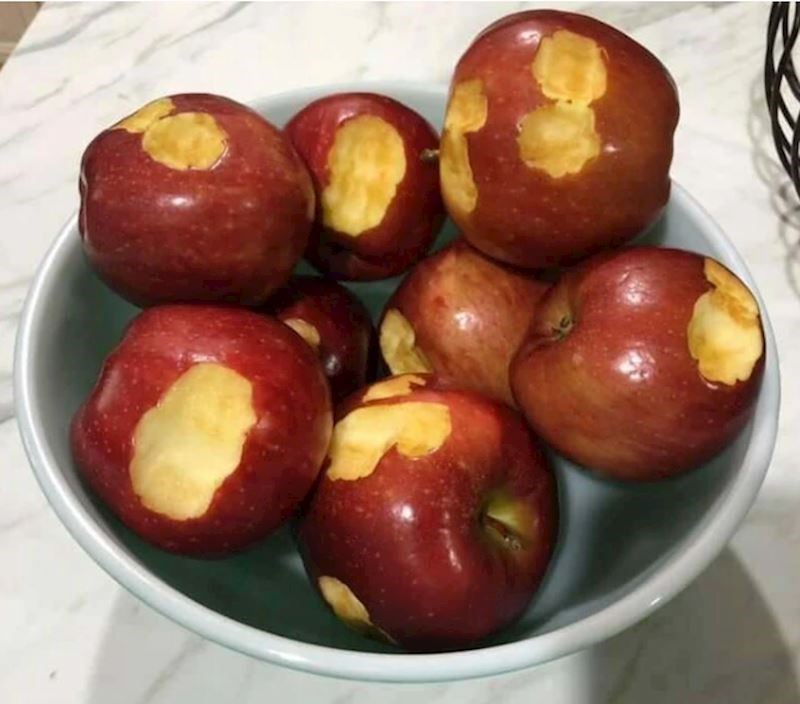 3. "Moj klinac ovako jede jabuke i sad se ljuti što mu ih ne damo jesti dok ih ne počne jesti normalno."