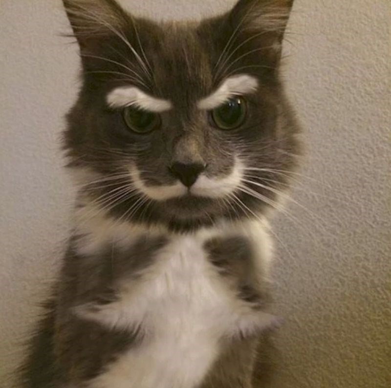 7. Netko je malo ljut...