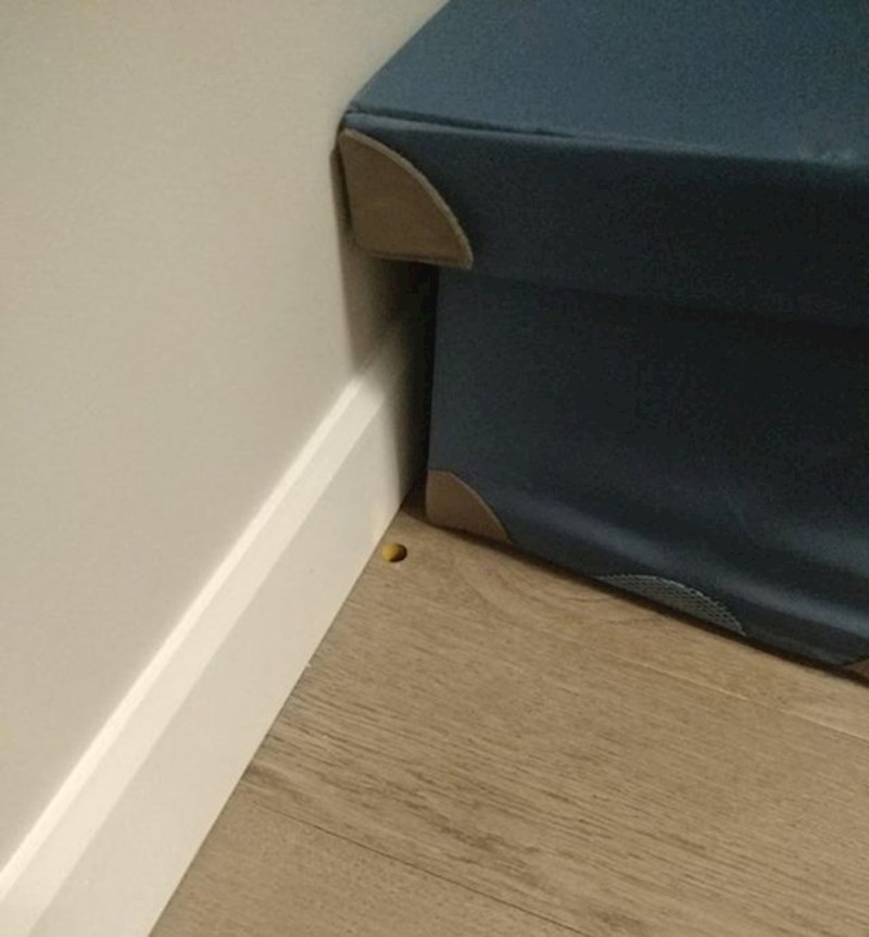 Bacali su konfete i zbog ovog mališana mislili su da imaju rupu u podu