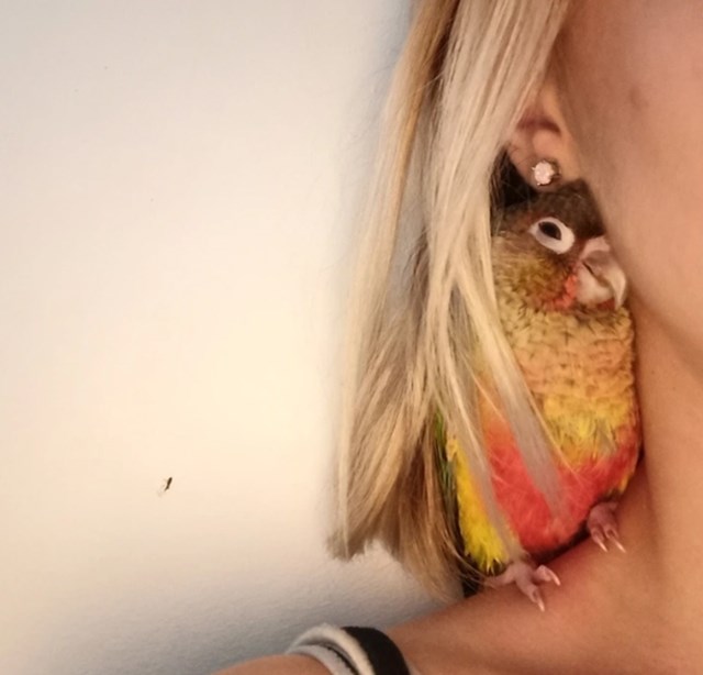 6.