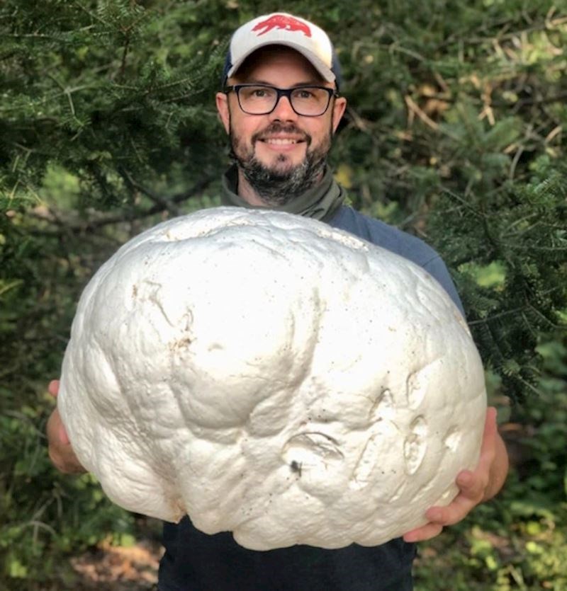 1. Ovo što čovjek drži je gljiva.