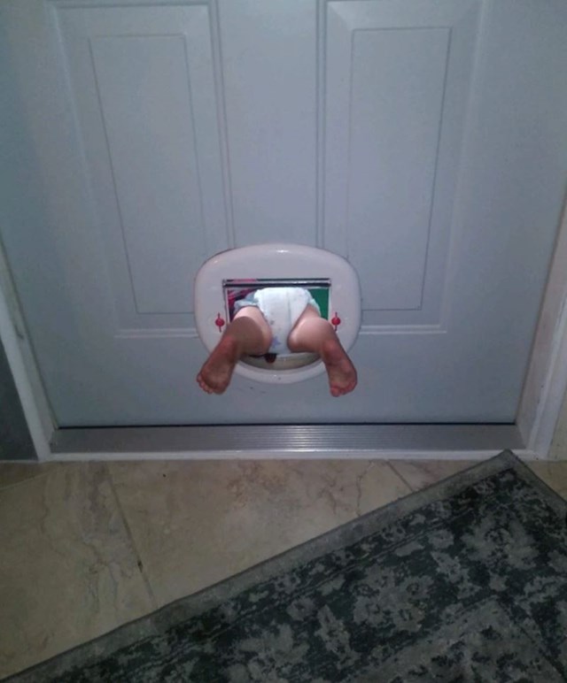 12. "Moja nećakinja je otkrila kako funkcioniraju vrata za kućne ljubimce"
