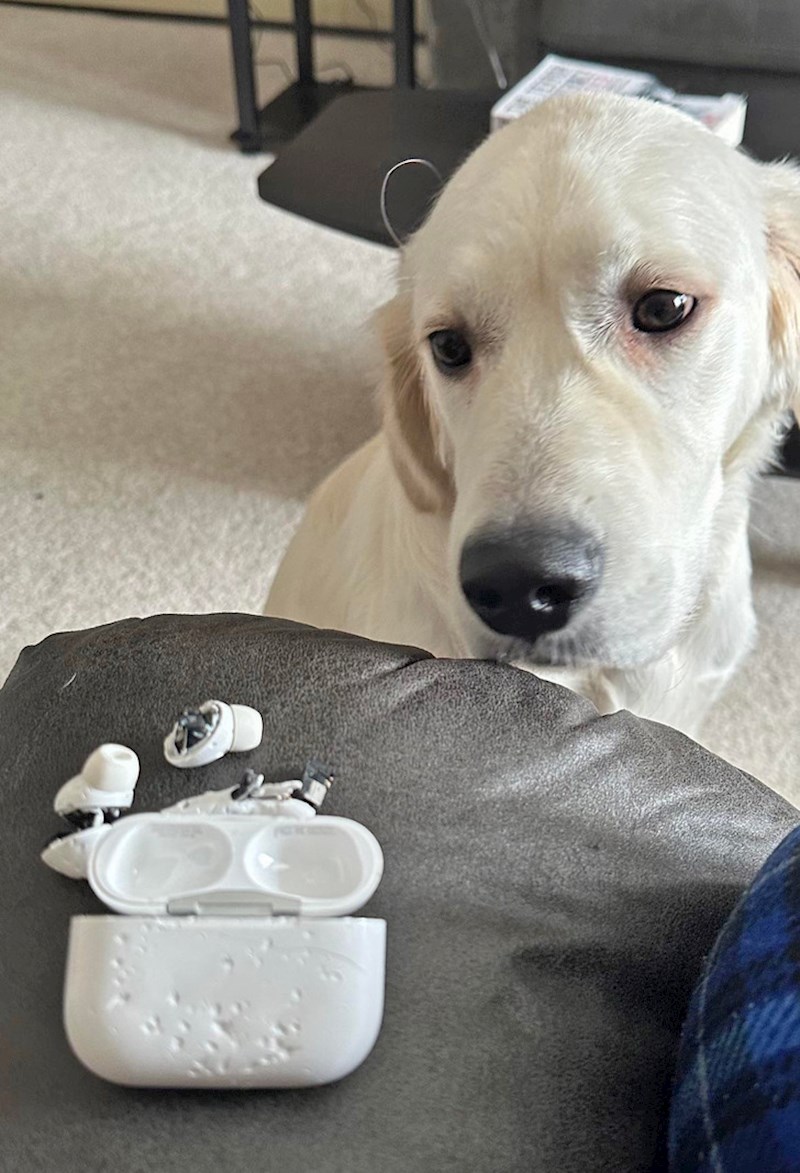 6. Kad ovako gleda ne bismo uopće mogli biti ljuti na njega