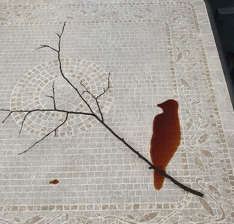 6. "Prolio sam kavu i sasvim slučajno kreirao remek djelo"