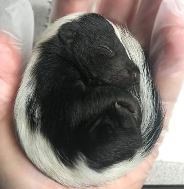 4.