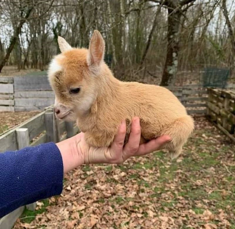 6. Samo bismo je zagrlili!