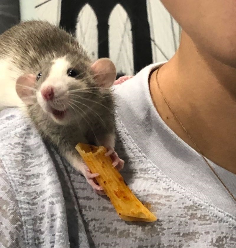 "Dali smo mu da proba tjesteninu. Mislim da mu se sviđa."