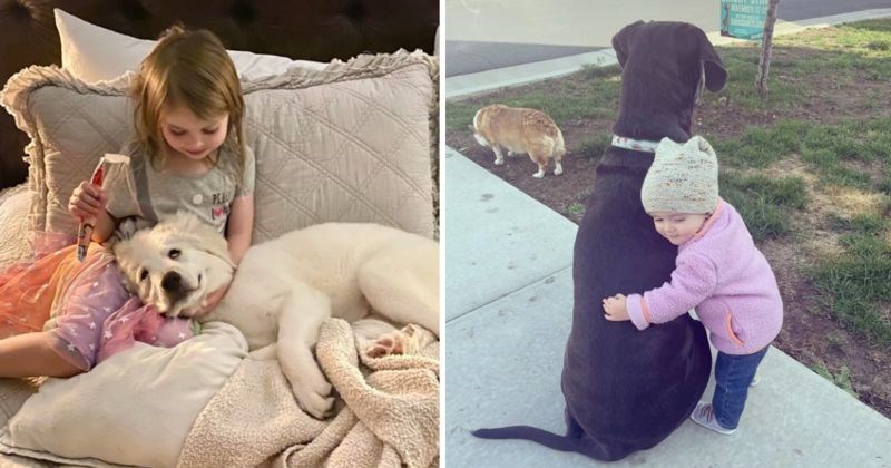 19 preslatkih fotografija koje dokazuju da postoji posebna povezanost između djece i životinja