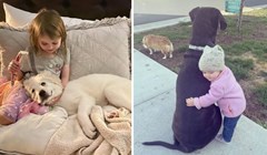 19 preslatkih fotografija koje dokazuju da postoji posebna povezanost između djece i životinja