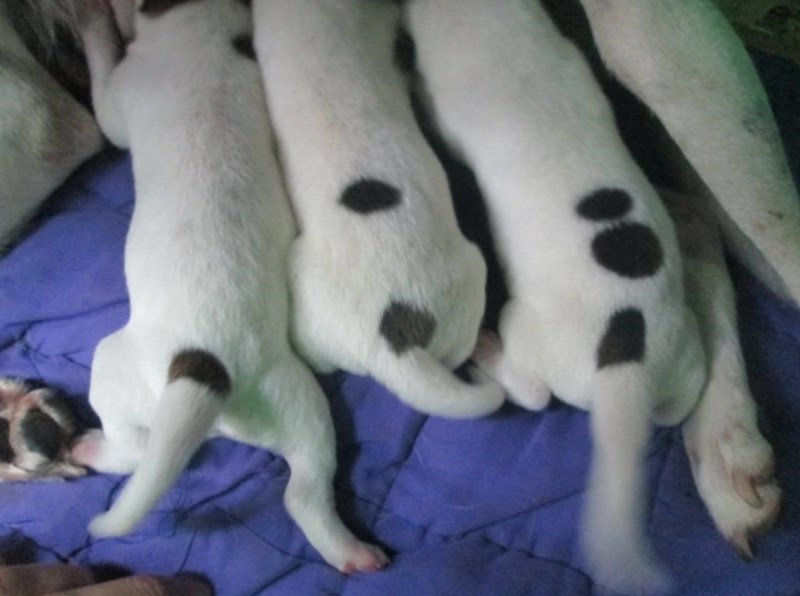 9. Svaki ima točku više. 😄