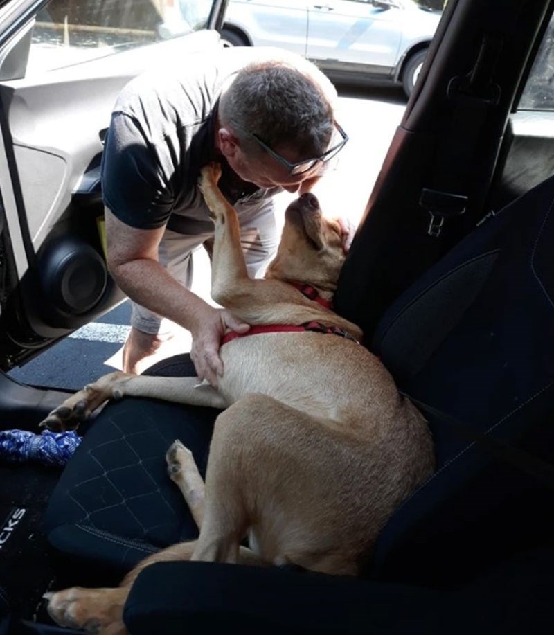 7. "Nisu se vidjeli mjesec dana i prvo što je moj tata napravio - pomazio je psa."