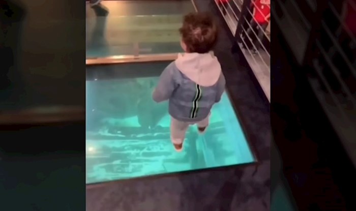 Dječak imao urnebesnu reakciju kad je shvatio da hoda po prozirnom staklu, video je viralni hit