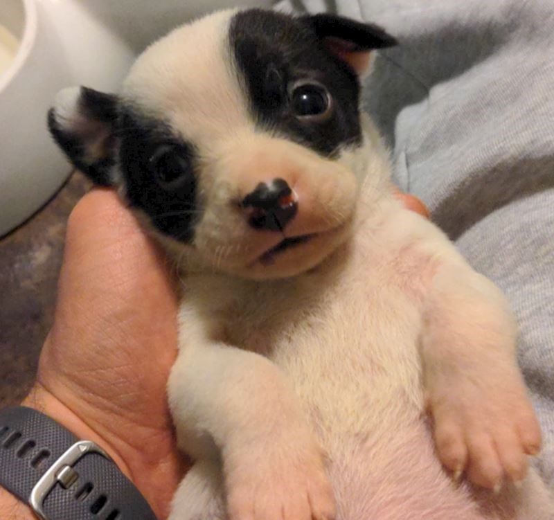 3. "Ne mogu odlučiti što mi je najslađe na njemu!"