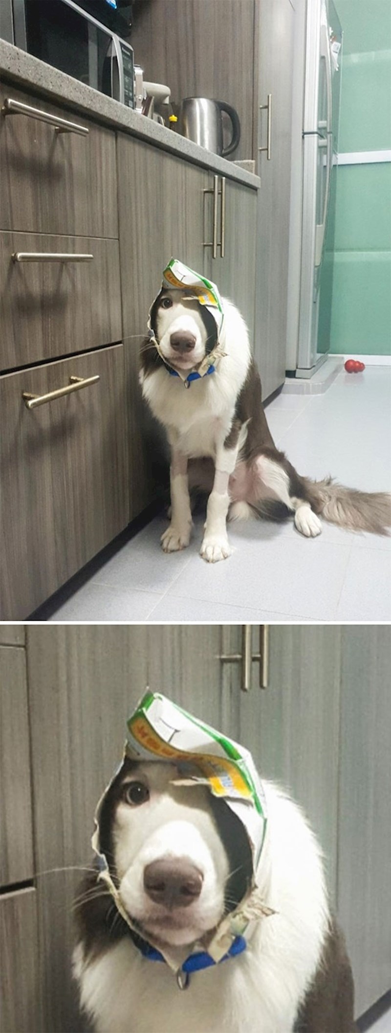 Idući put (ne)će bolje promisliti