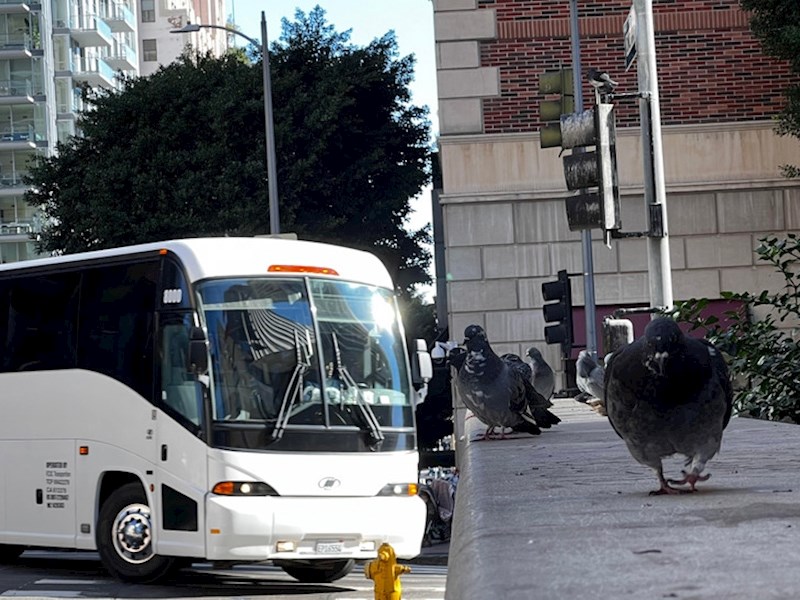 12. Umjesto jedne, ovo izgleda da je netko spojio dvije slike