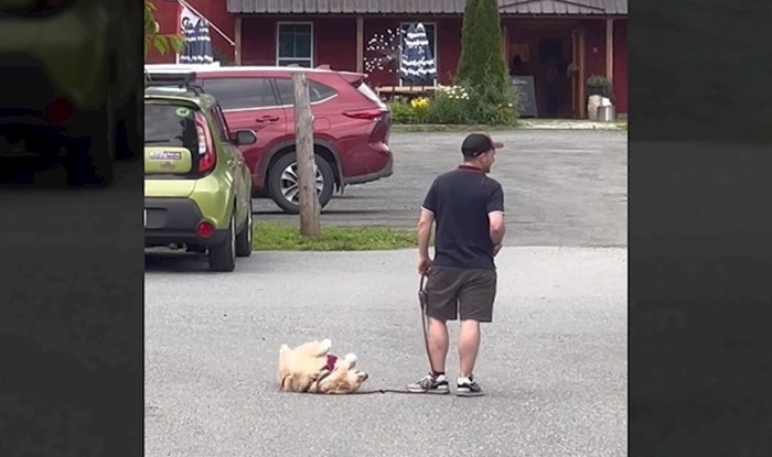 Video psa koji ne želi otići s parkinga viralni je hit, dosad ga je pogledalo više od 40 mil. ljudi