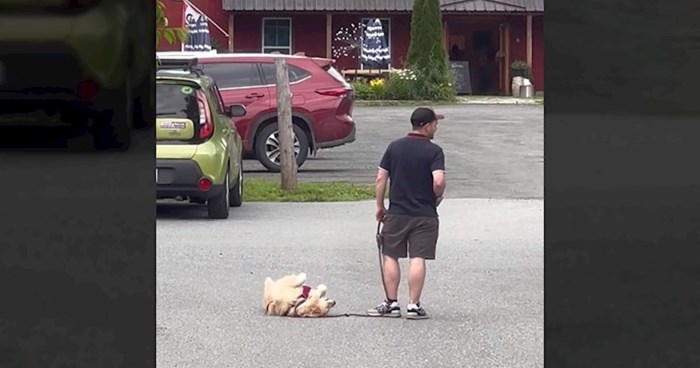 Video psa koji ne želi otići s parkinga viralni je hit, dosad ga je pogledalo više od 40 mil. ljudi