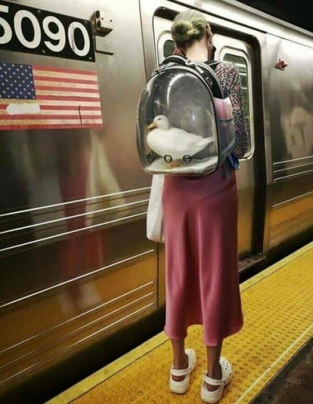 17.