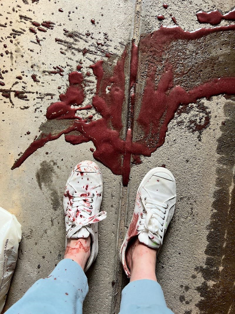 13. "Boli me duša dok ovo gledam..."