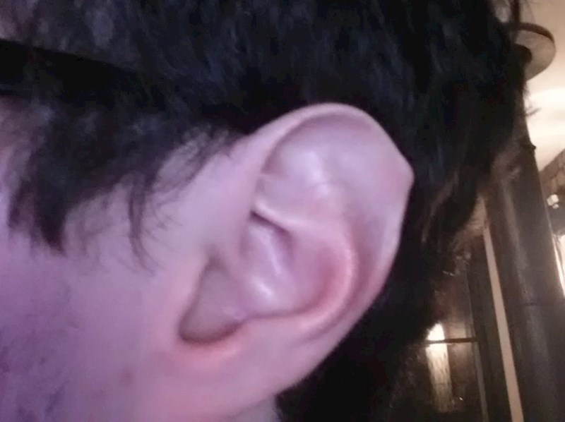 8. "Moje vilenjačko uho"