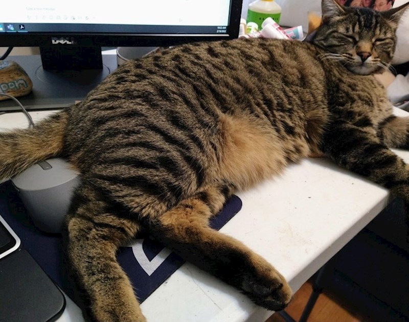 13. Što ste radili, radili ste