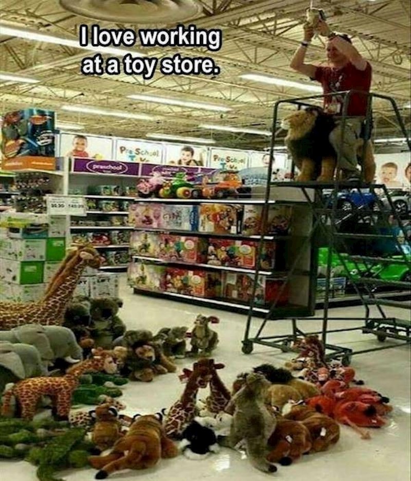 8. "Ima nešto posebno kad radite u trgovini s igračkama kad ste odrasli"