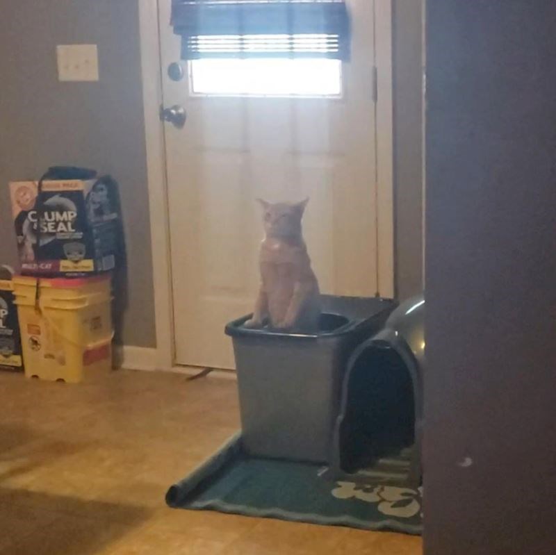 6. "Nisam nikad dosad vidjela kako izgleda dok obavlja nuždu. Ovo je predobro!"