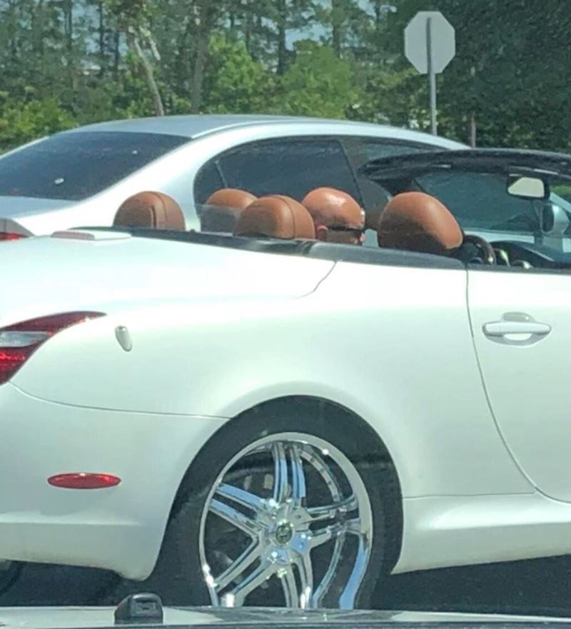 12. Previše ćelavih glava na jednom mjestu, ili ne?